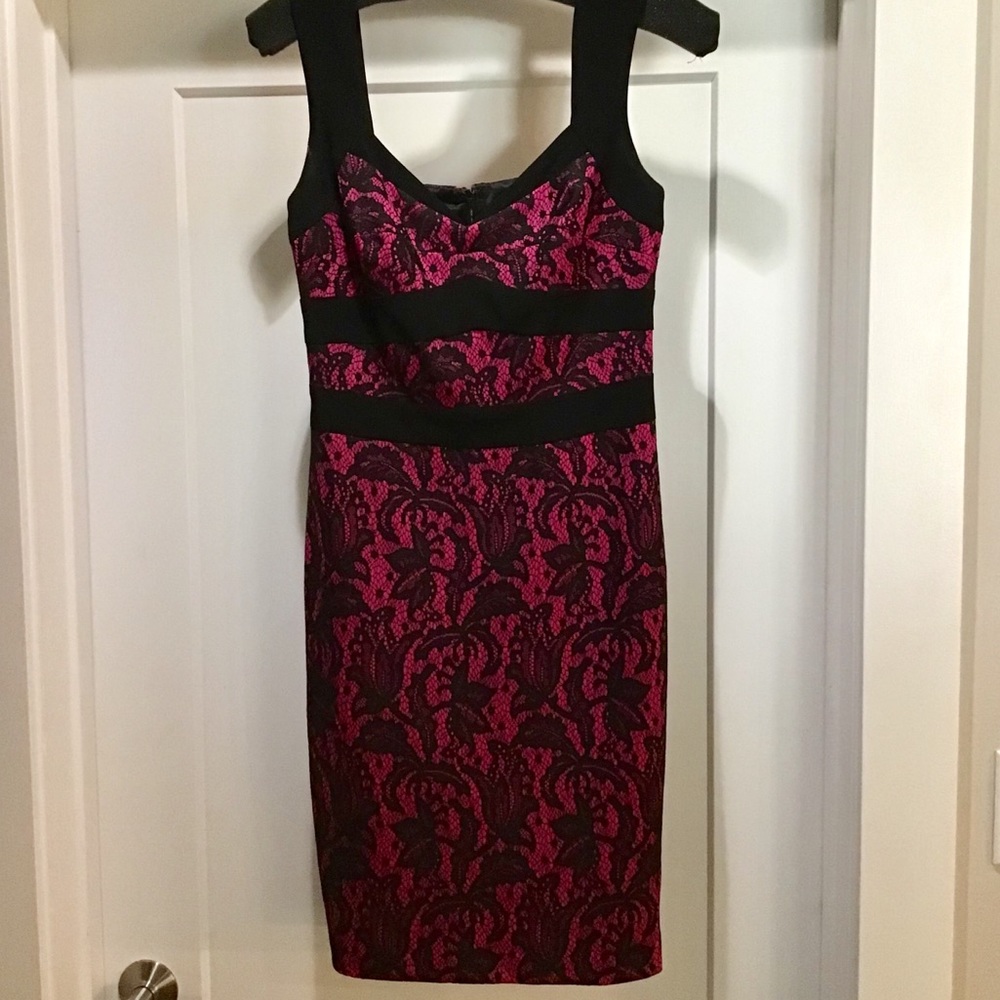 Cache Lace Overlay Dress - Picture 7 of 8